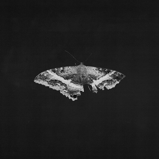 Kendrick Lamar - To Pimp a Butterfly (Grey Marble Vinyl)